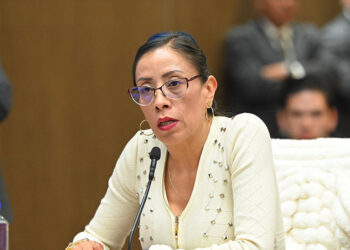 Exhorta la diputada Pérez Cerón a municipios resolver conflictos limítrofes mediante convenios amistosos