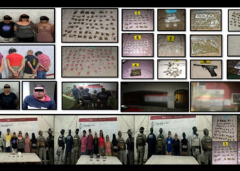 Destruyen plantíos de marihuana aseguramiento de tomas clandestinas de hidrocarburo