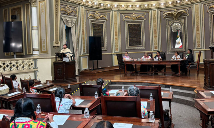 Diputada Kathya Sánchez promueve participación de mujeres de pueblos originarios en el Congreso del Estado