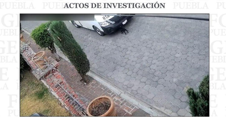 Vinculado a proceso por causar la muerte a una perrita en Atlixco
