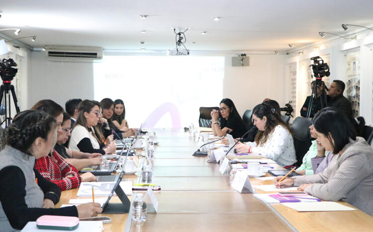 Avanza Puebla como un estado igualitario, inclusivo y libre de violencia: Melva Navarro