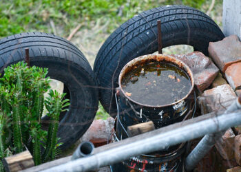 Reporta Salud 4 mil 585 casos acumulados de dengue en Puebla  