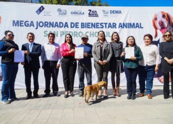 Realiza Gobierno de Cholula Mega Jornada de Esterilización