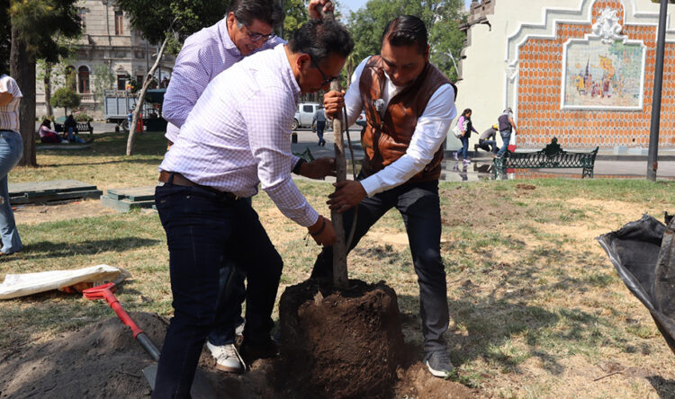 Celebra Gobierno de la Ciudad el 26 de enero como Día Municipal del Árbol Urbano