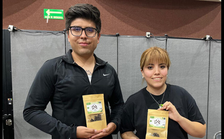 Talentos IBERO Puebla desarrollan suplemento para combatir estrés académico