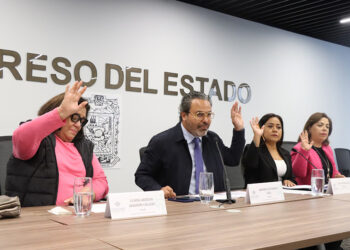 Presentan en Comisión del Congreso propuesta de Encuesta Digital para Organizaciones No Gubernamentales