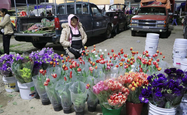 Mercado de Flores de Villa Frontera se prepara para el 14 de febrero