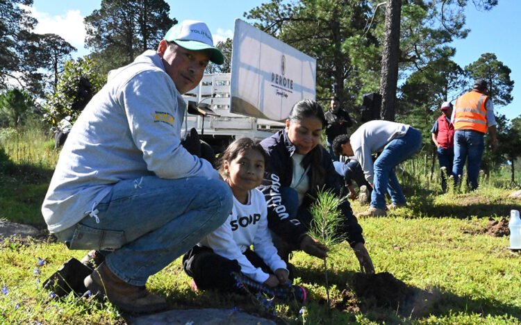 Granjas Carroll impulsa la conservación y reforestación en el Valle de Perote
