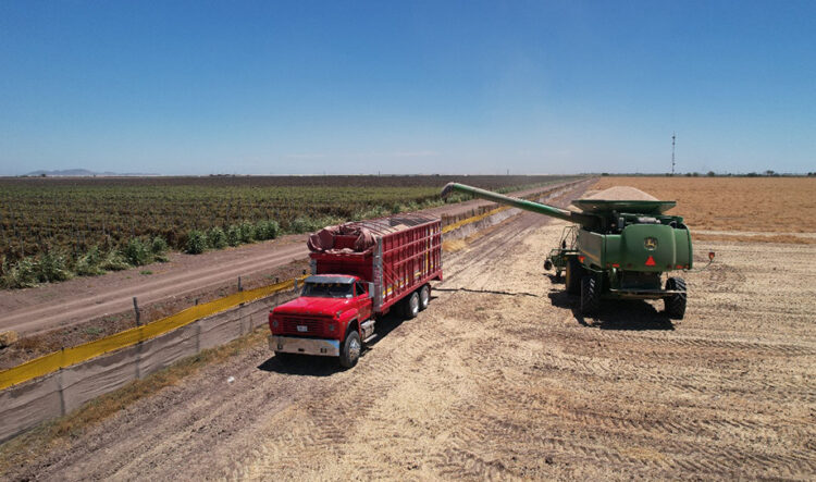 Se disparan nerviosismo e incertidumbre en sector agroalimentario: Nexusagronegocios