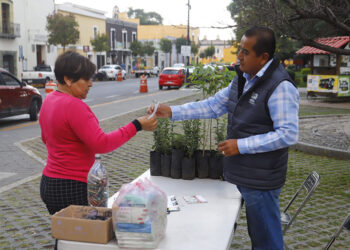 Últimos días de «Verde Navidad» y «Reciclatón» en San Pedro Cholula