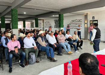 Gobierno de Puebla refuerza el abasto local de frijol