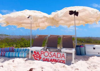 Posada Galápagos: El refugio de las estrellas en el corazón de Los Roques