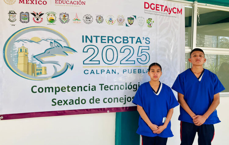 Huitzilan, cuatro años con el primer lugar en sexado de gazapos en los INTERCBTAS 