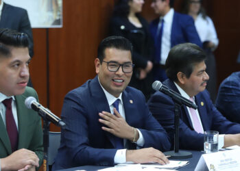 Desde el Senado de la República impulsaremos  la competitividad de México: Néstor Camarillo