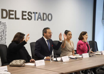 Reporta Comisión del Congreso avances positivos en la encuesta digital dirigida a las ONG 