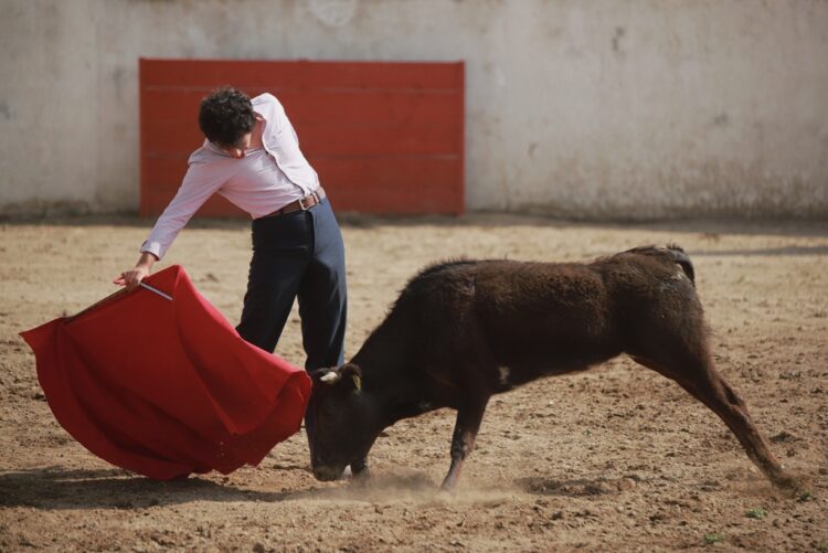 José Rubén Arroyo, Julio Benítez «El Cordobés» y Héctor Gabriel realizan labores de tienta en Coyotepec