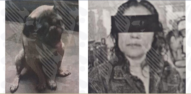 Obtuvo la FGE vinculación a proceso de una mujer acusada de crueldad animal
