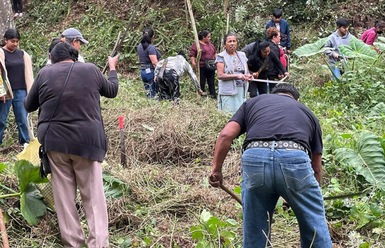 Se reúnen colonos para realizar faena 