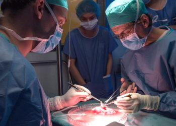 Salud e IMSS-Bienestar garantizan realización de trasplantes renales