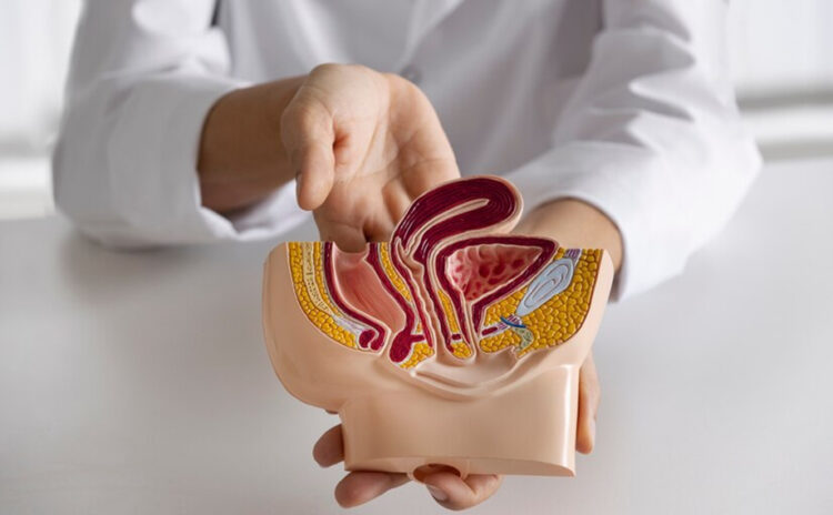 ¿Has pensado en tu salud colorrectal? Un examen puede cambiarlo todo
