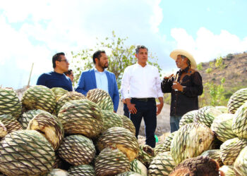 Impulsa Gobierno de la Ciudad tradición mezcalera con asesoría a productores