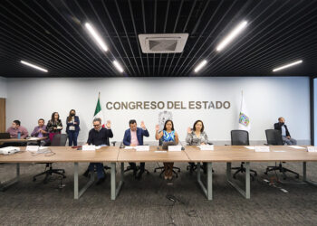 Comisión del Congreso presenta resultados de la encuesta digital dirigida a las ONG