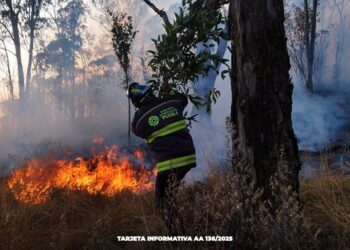 Ante la atención inmediata de incendios, los provocados tendrán penas severas