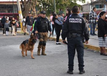 Implementa SSC dispositivo de seguridad en escuela Primaria Fernando Ximello