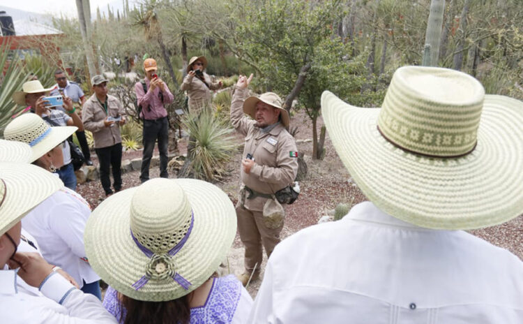 Fortalecen turismo en Zapotitlán Salinas con estrategia de conservación