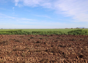 México arriesga el 14 % de su economía: peligra el valor agroalimentario integrado por campo, industria y comercio: nexusagronegocios