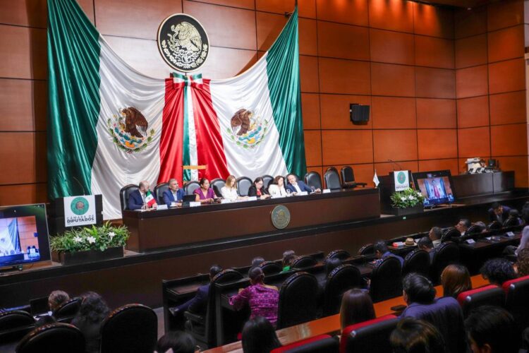 Participa Lupita Cuautle en foros del Congreso de la Unión