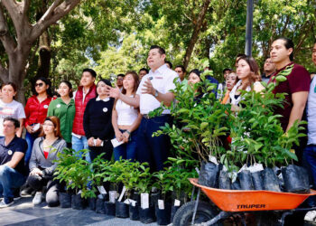 Con ecoparques, Puebla protege sus montañas y frena destrucción ambiental