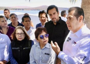 Fertipue: proyecto innovador que transformará el lirio del Lago de Valsequillo