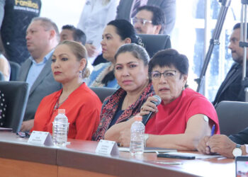 No se impedirá la circulación de unidades particulares con placas foráneas: Silvia Tanús