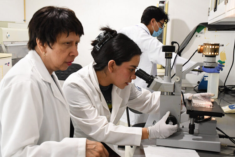 Con modelos computacionales, investigadores BUAP predicen y describen la regeneración epitelial