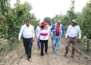 SADR recorre parcelas frutícolas en la zona del Izta-Popo