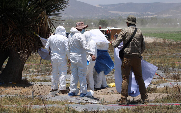 De la mano, Comisión de Búsqueda y FGE trabajan en Palmar de Bravo