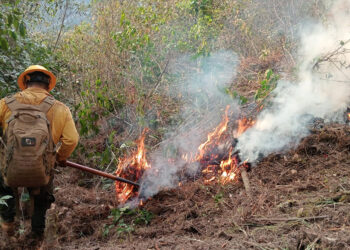 Puebla reduce al 50% daños por incendios forestales