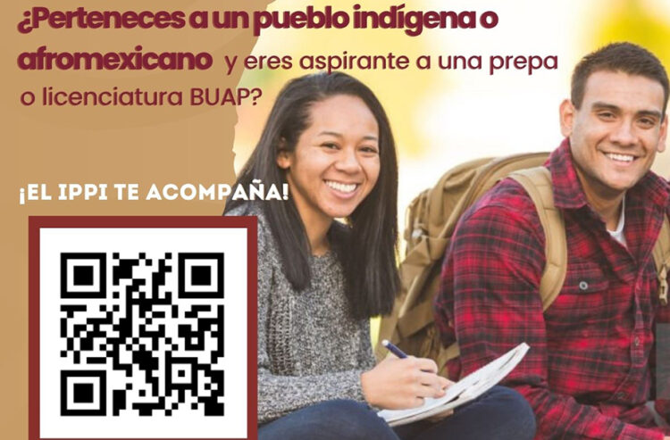 Carta acompañamiento para la población indígena y afromexicana