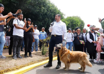 Gobierno federal y estatal impulsarán campaña de protección de animales