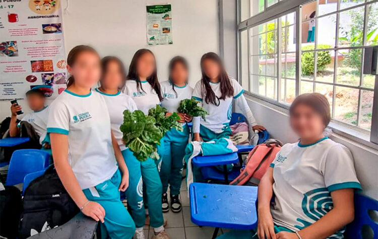 Presentarán más de 8 mil 500 aspirantes evaluación diagnóstica de ingreso: COBAEP