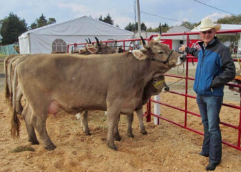 En riesgo abasto nacional de carne por gusano barrenador: Ocaña Romo