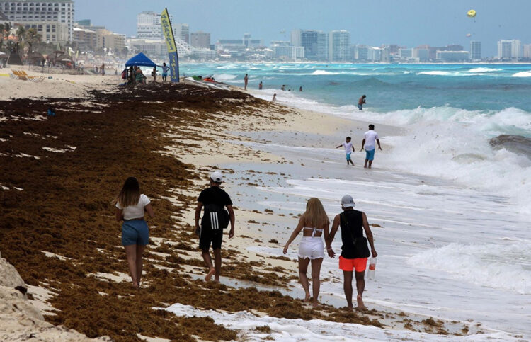 Sargazo amenaza con ahuyentar al turismo en el Caribe mexicano