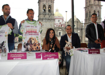Anuncia Gobierno de la Ciudad primera carrera “Lomitos Imparables Por Amor a Puebla”