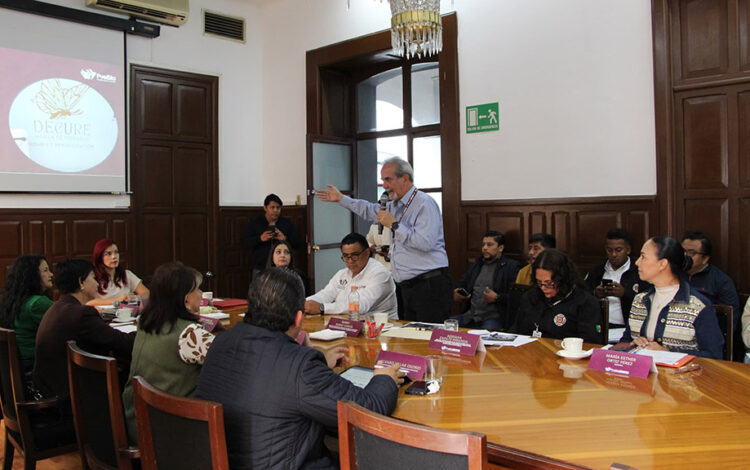 Conoce Comisión avances sobre inspecciones a escuelas y asilos en materia de PC
