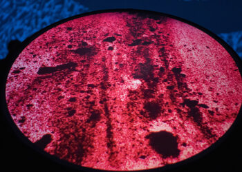 Laboratorio Arte Alameda reúne exposiciones individuales de Said Dokins, Deborah Castillo y Ana Hernández