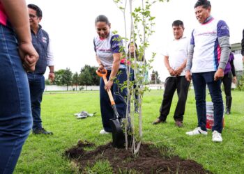 Jornada de reforestación encabezada por Lupita Cuautle en Tehuiloyocan