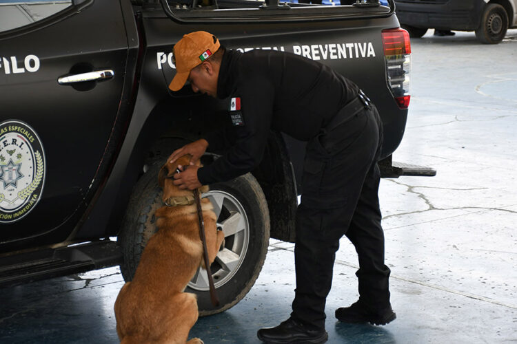 Certifica Puebla a 16 instructores caninos para reforzar la Seguridad Pública