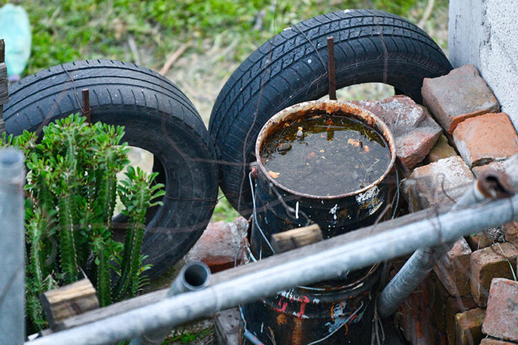 Dengue disminuye 81% en Puebla durante 2025: Salud