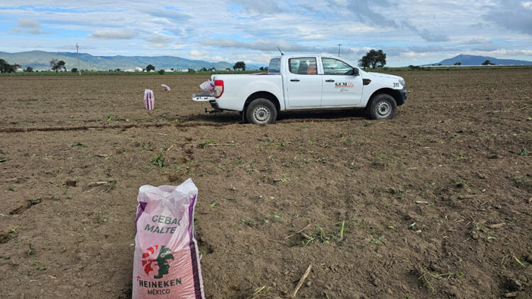 Impulsa Altosano Granjas Carroll la reconversión agrícola en Puebla y Veracruz